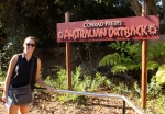 australian outback san diego zoo
